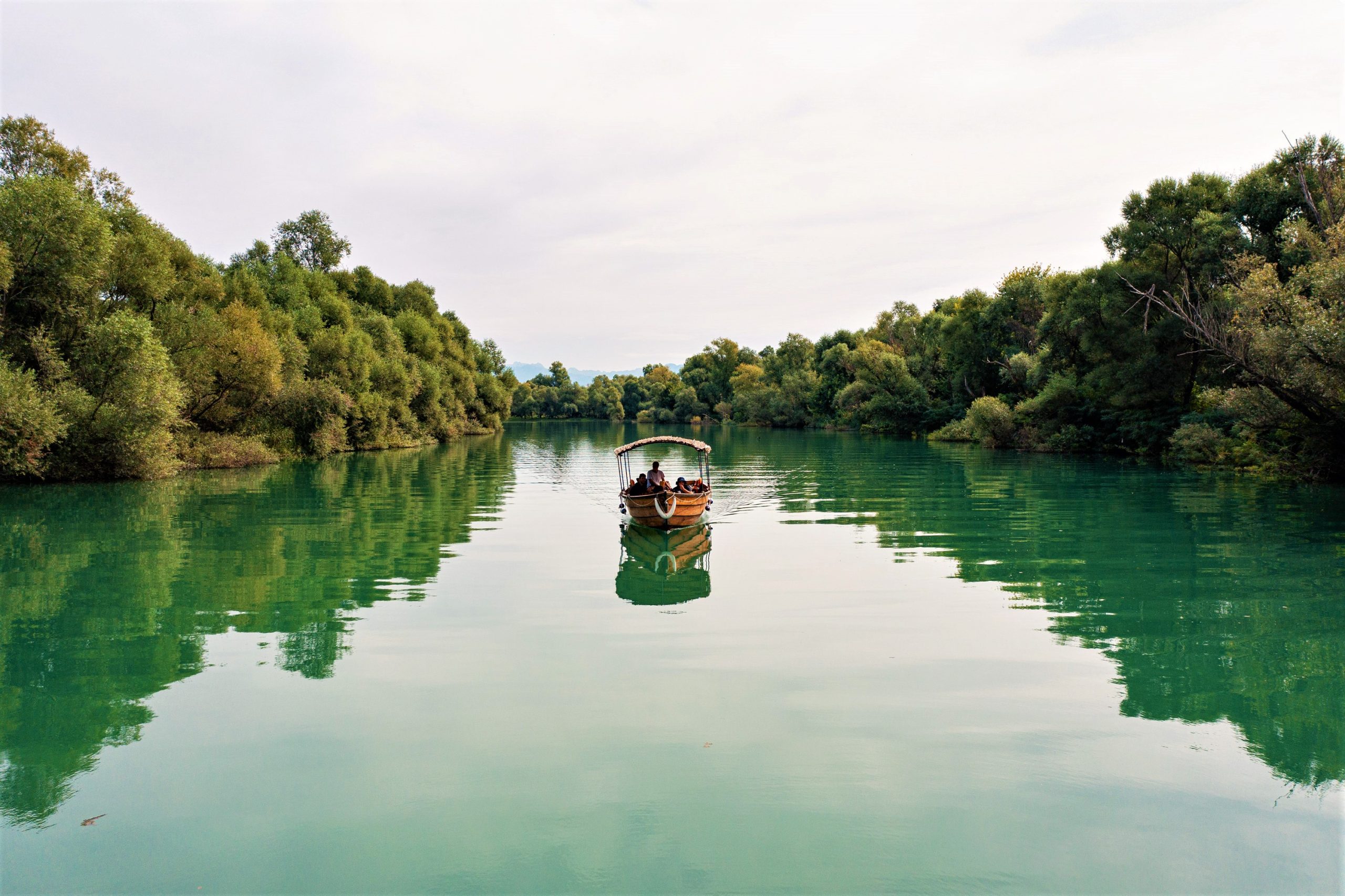 An aerial perspective of a small wooden boat with a red canopy navigating a narrow, winding waterway through a dense, lush green wetland of willow trees and aquatic plants under a clear sky.